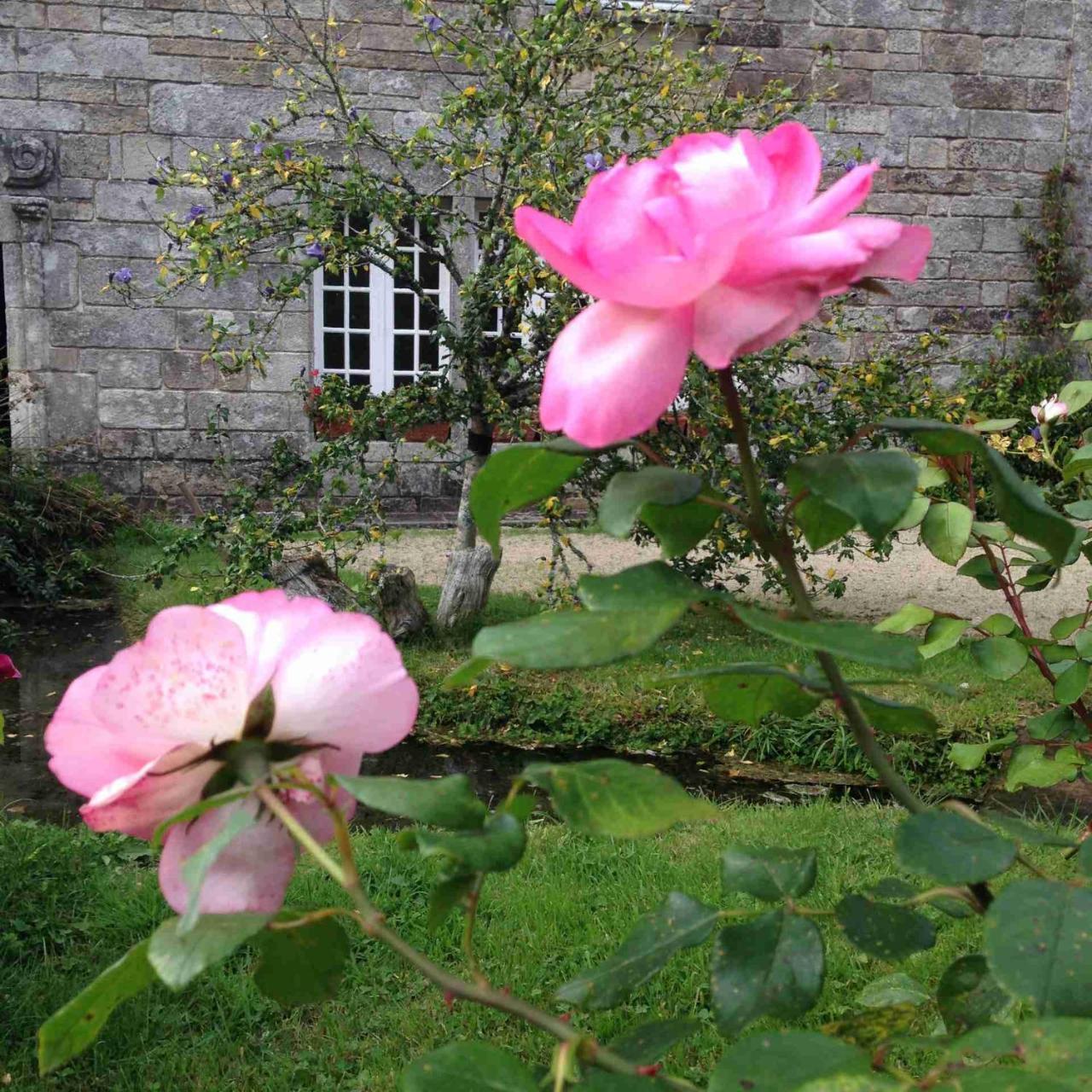 Manoir Du Moustoir - Hotel Les Empreintes Saint-Évarzec Exteriör bild
